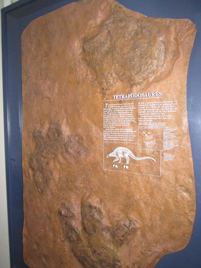 138 - dinosaur footprint