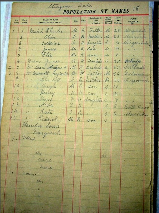23 - 1901 Working Copy of the Census